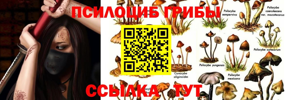 Галлюциногенные грибы мухоморы  Псилоцибиновые грибы прущие грибы  Вход с VPN  Гусев 